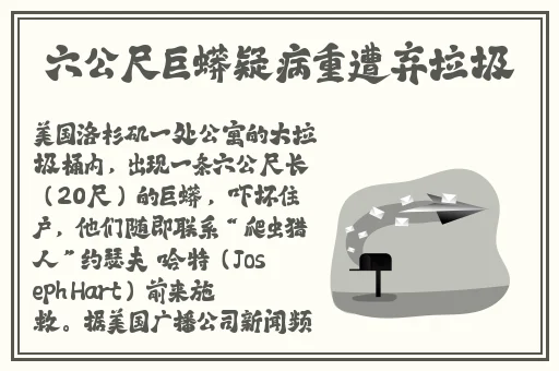 麻豆剧果冻传媒精品